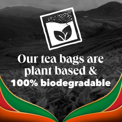 PG Tips Chai Warm and Spicy Plant Based Biodegradable Tea Bags