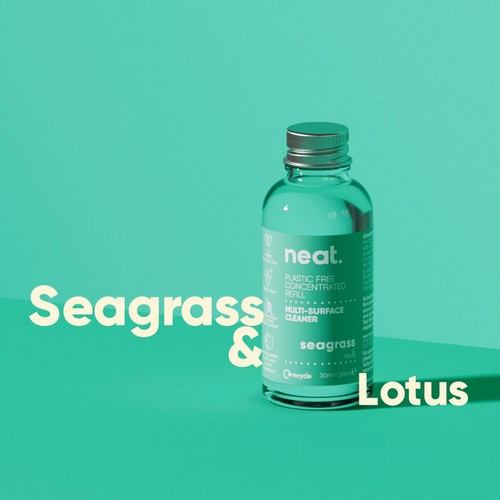 Neat Multi Surface Concentrated Refill Seagrass