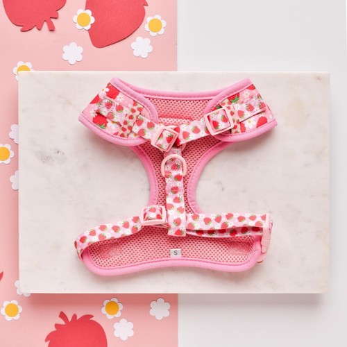 Cocopup London Pupberry Fields Harness Large