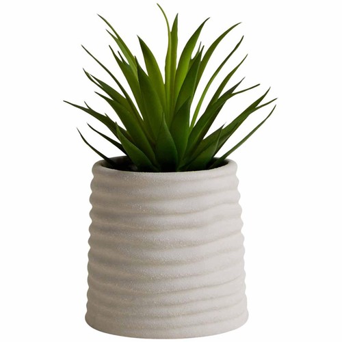 M&S Artificial Mini Air Plant in Ceramic Pot, Natural