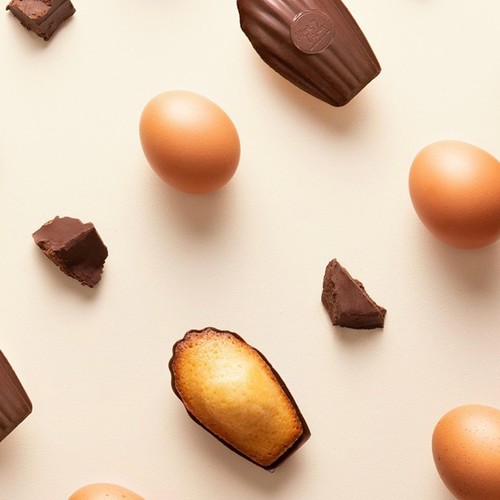 Maison Colibri Traditional Madeleine Dark Chocolate Shell