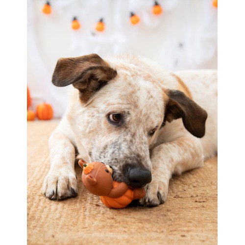 Spirit & Spook Bree Autumn Bear