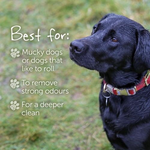 Little Beast Organic Smelly Dog Shampoo Bar