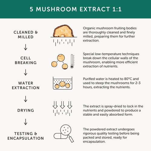 Together Health Mushroom 5 Lions Mane, Chaga & Reishi
