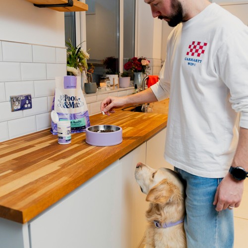 Pooch and Mutt Large Joint Supplement