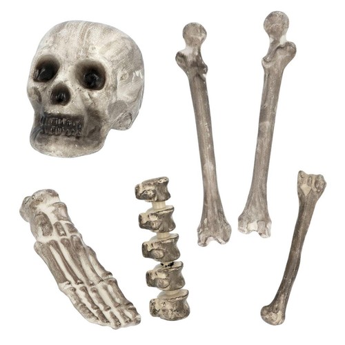 Skull & Bone Set Of 6