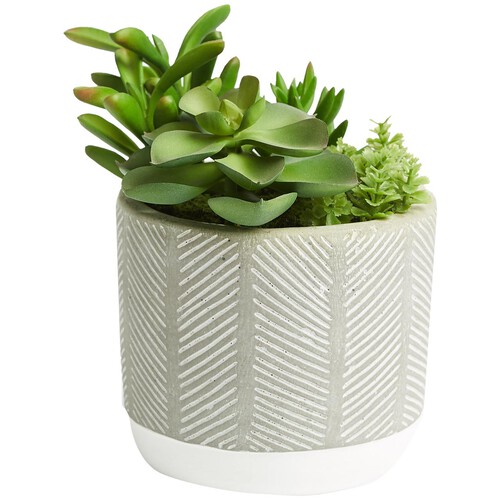 M&S Artificial Succulent Garden, Green - Ocado