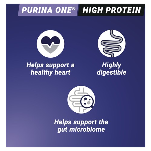 Purina One High Protein Salmon Dry Cat Food
