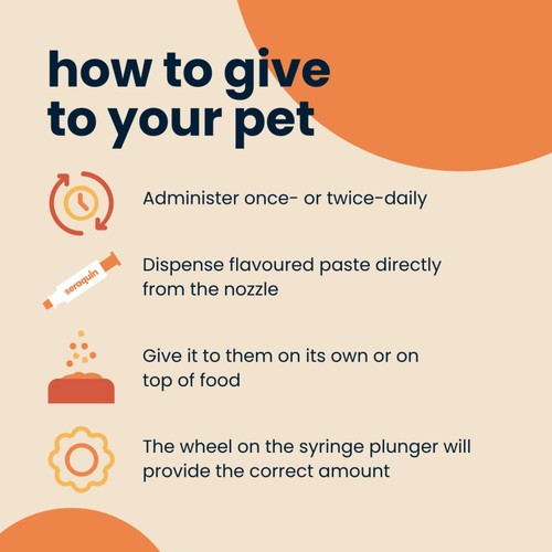 Seraquin Digest Paste for Cats & Dogs