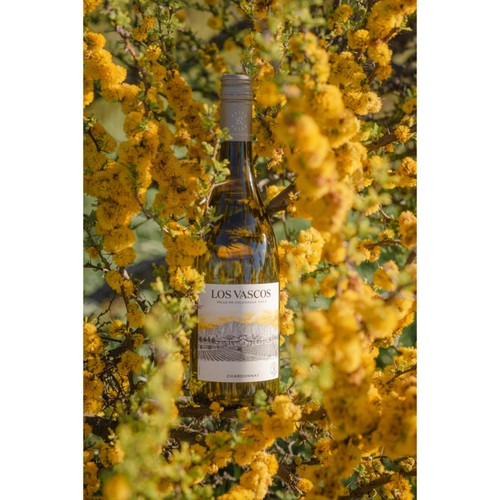 Rothschild Los Vascos Chardonnay