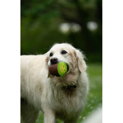 Petface Foodie Faces Kiwi Latex Dog Toy
