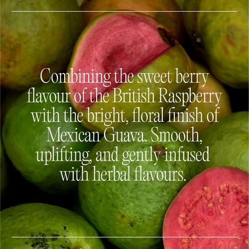Goodrays CBD Drinks - Raspberry & Guava