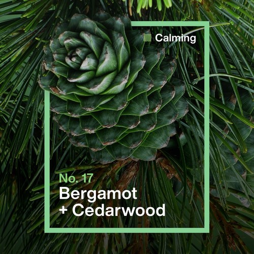 INEOS Antibac Multi-Room Cleaner Bergamot + Cedarwood