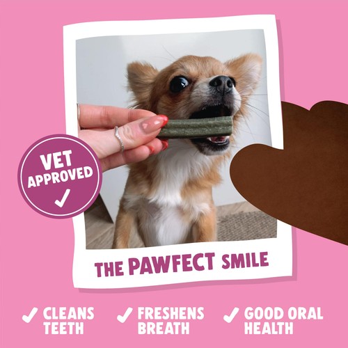 Denzel's Puppy Dental Sticks, Salmon, Spearmint & Coconut Oil