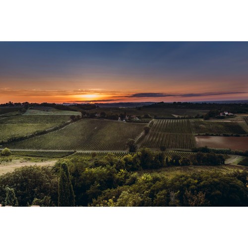 Bricchetto Italian Pinot Grigio Blush Rose