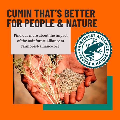 Bart Cumin Seeds