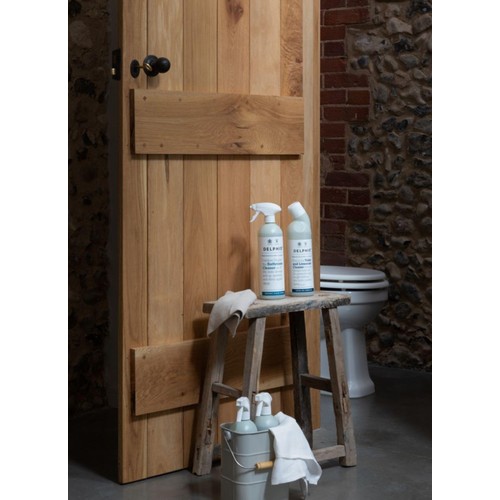Delphis Eco Toilet Cleaner