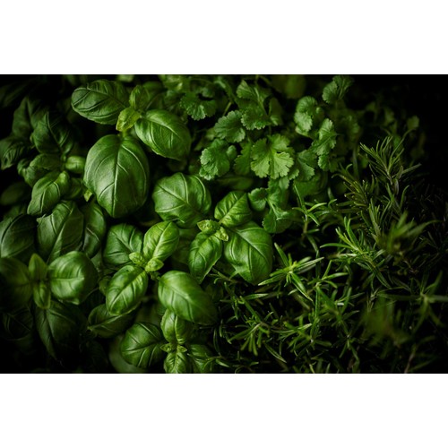 Cook With M&S Large Basil