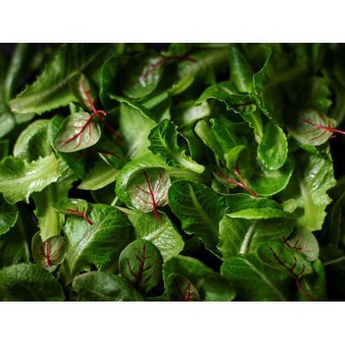 M&S Collection Citrus Sorrel Baby Leaves