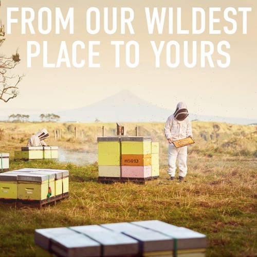 Egmont Honey 250 MGO Manuka Honey