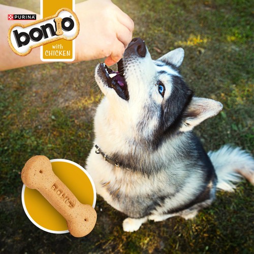 Bonio Chicken Dog Biscuits