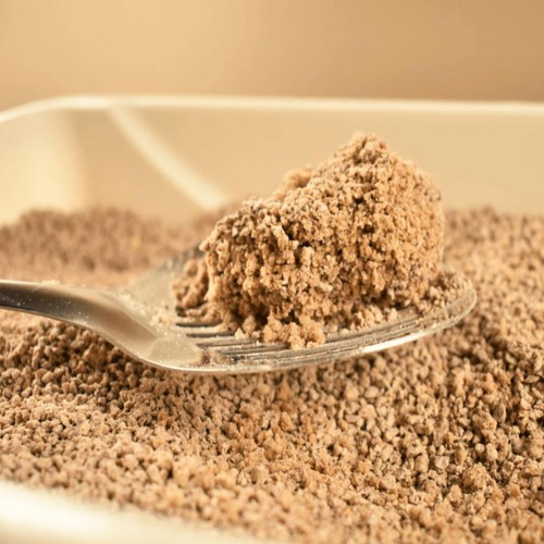 World's Best Multiple Cat Unscented Clumping Cat Litter