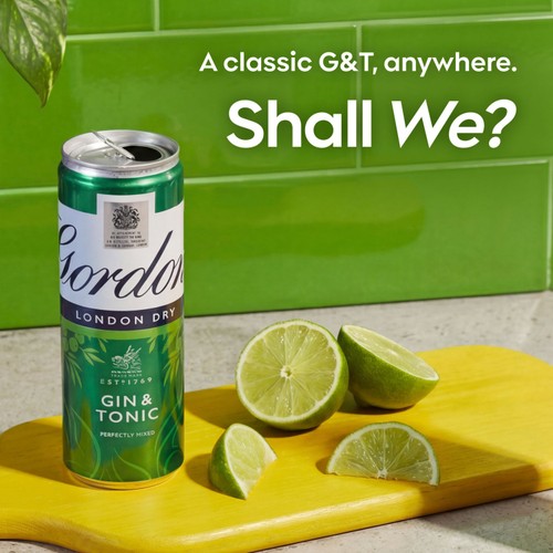 Gordon's Gin & Tonic
