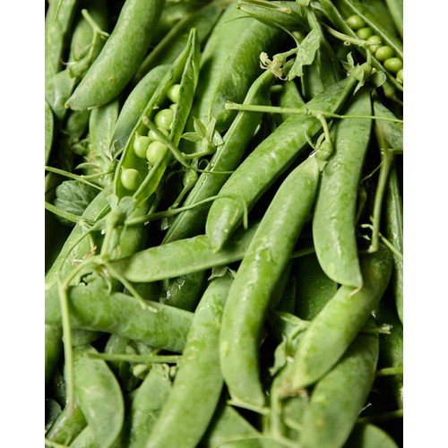 Natoora Fresh Peas