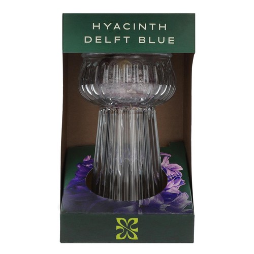 M&S Hyacinth Bulb Vase
