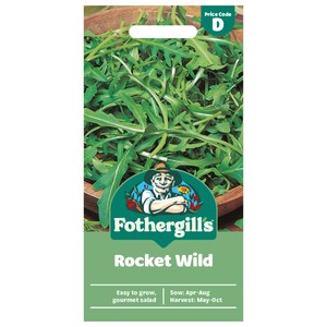 Mr Fothergill's Rocket