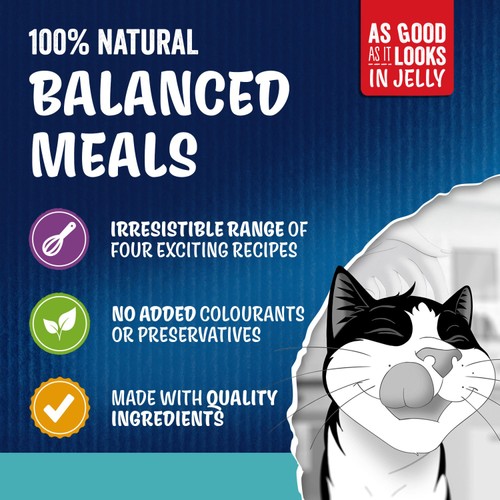 FELIX As Good As it Looks Ocean Feasts in Jelly Wet Cat Food