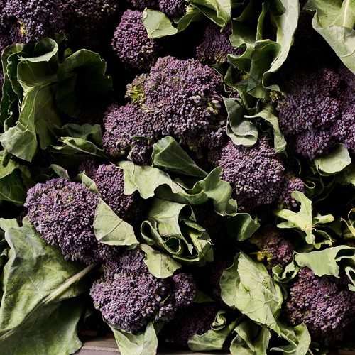 Natoora British Purple Sprouting Broccoli