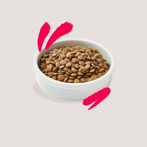 Edgard & Cooper Cat Dry Food Senior Chicken & Turkey