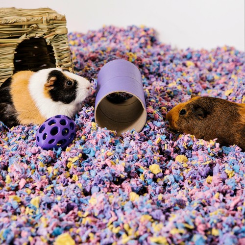 Carefresh Colours Confetti Small Pet Bedding Ocado