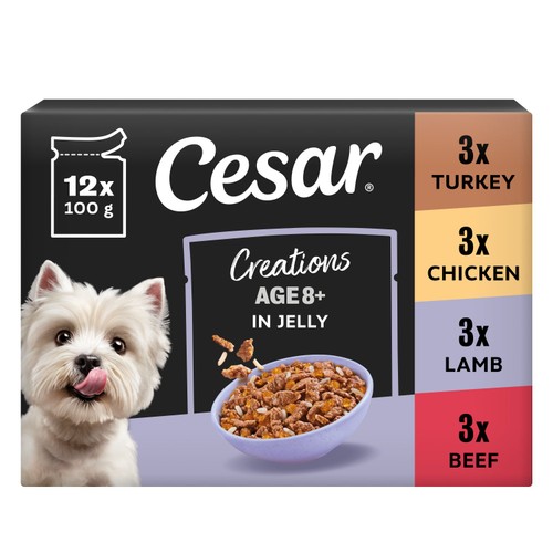 Cesar Senior Wet Dog Food Pouches Mixed Selection in Jelly 