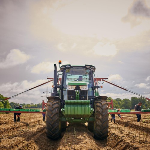 Barfoots Farming Forever Asparagus Spears