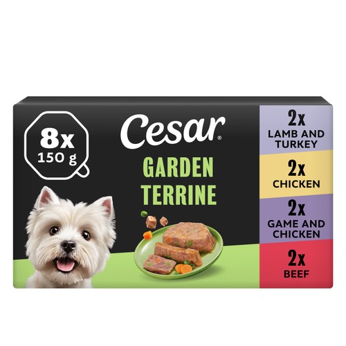 Cesar Garden Terrine Dog Food Tray Mixed in Loaf 