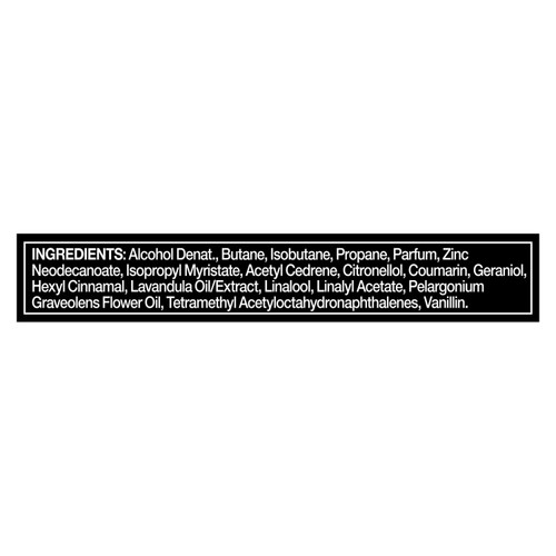 Lynx Africa Deodorant Bodyspray Travel Size