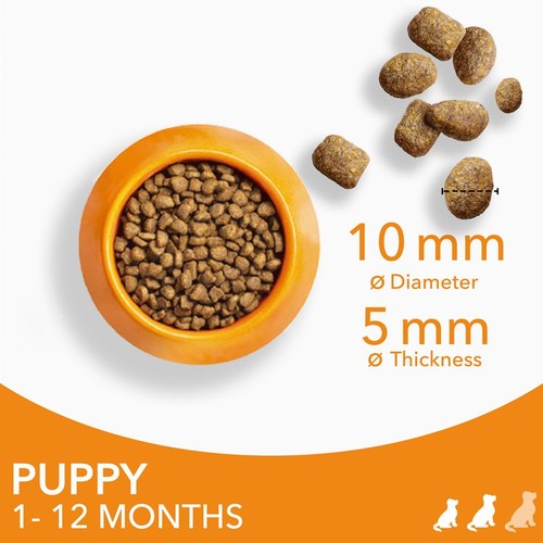 IAMS Advanced Nutrition Puppy Food Small/Medium Breed with Fresh Chicken
