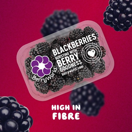 BerryWorld Blackberries