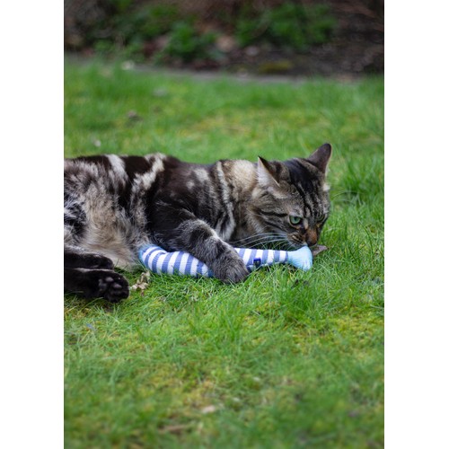 Battersea Catnip Kicker Fish