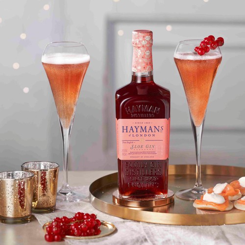 Hayman's Sloe Gin