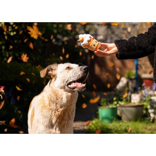 Spirit & Spook Luna Latte Dog Toy