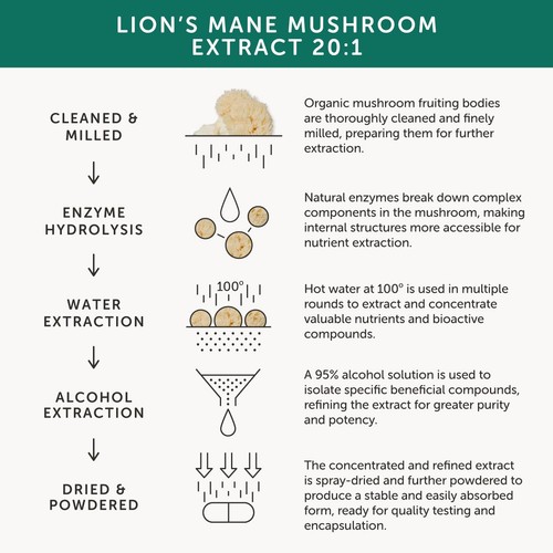 Together Health Organic Lions Mane Mushroom