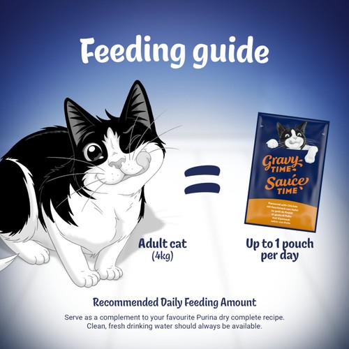 Felix Gravy Time Chicken and Turkey Wet Cat Food