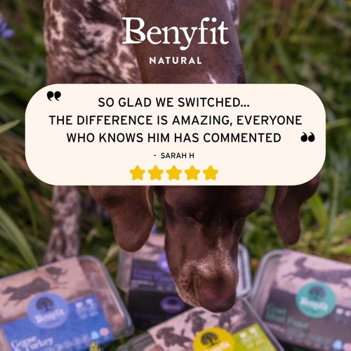 Benyfit Natural Chicken Complete Raw Dog Food