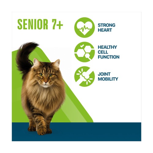 Perfect Fit Senior Dry Cat Food Chicken