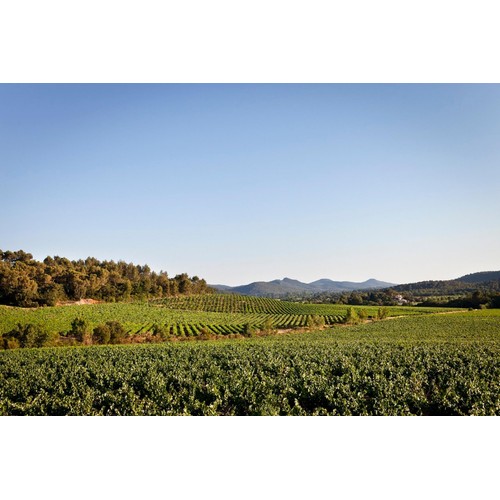 Chateau La Gordonne Rose VDT Cotes de Provence Magnum 