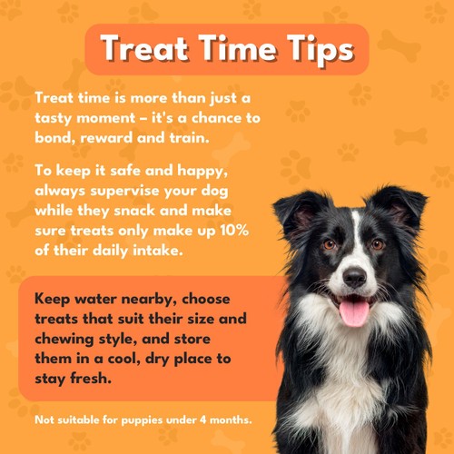 Pet Munchies Duck Dog Training Dog Treats