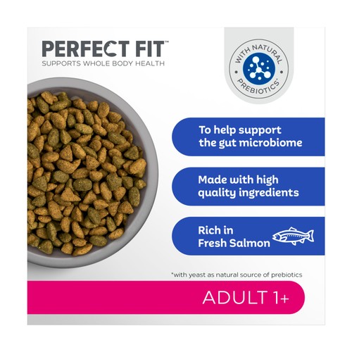 Perfect Fit Advanced Nutrition Adult Complete Dry Cat Food Salmon 